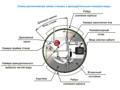 Станция ТОПОЛЬ 6 Пр в Боровичах